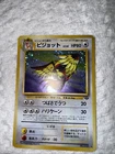 Pidgeot EX