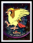 Pidgeot