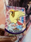 Pidgeot