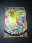 Pidgeot