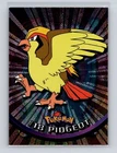 Pidgeot