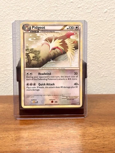 Pidgeot