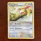 Pidgeot