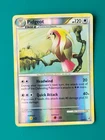 Pidgeot