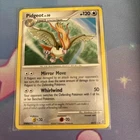 Pidgeot