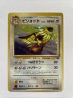Pidgeot, Pidgey