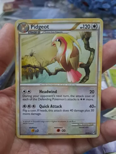 Pidgeot