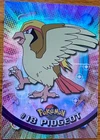 Pidgeot