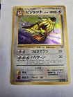 Pidgey