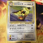 Pidgeot, Pidgey
