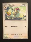 Pidgeotto