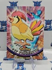Pidgeotto