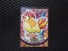 Pidgeotto