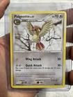 Pidgeotto