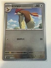 Pidgeotto