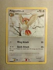 Pidgeotto