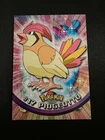 Pidgeotto