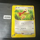 Pidgey