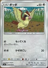 Pidgey