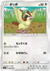 Pidgey