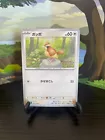 Pidgey