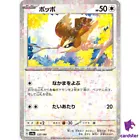 Pidgey