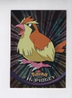 Pidgey