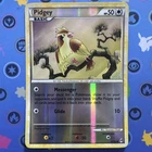 Pidgey