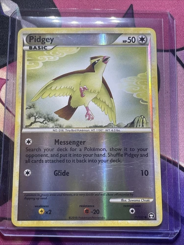 Pidgey