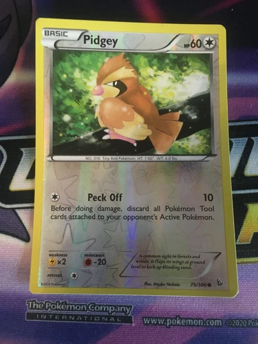 Pidgeot