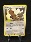Pidgey