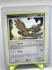 Pidgey