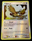 Pidgey