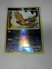 Pidgey
