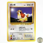 Pidgey