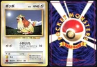 Pidgey