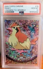 Pidgey