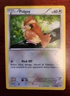 Pidgey