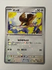 Pidgey