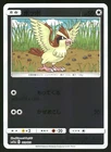 Pidgey