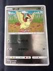 Pidgey