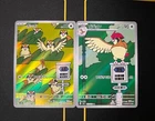 Pidgey