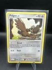 Pidgey