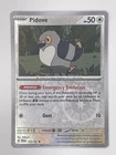 Pidove