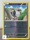 Pidove