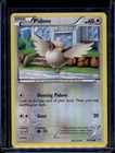 Pidove