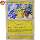 Alolan Raichu