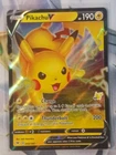 Raichu GX