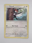 Pikipek