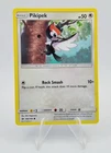 Pikipek